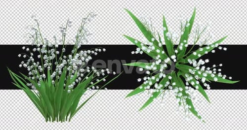 Pack Of 2 Bellflower Moving In The Wind On Alpha Loop