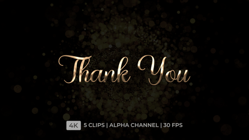 Animated Thank You Text Message in Shiny Script Style