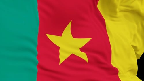 Cameroon Flag Waving Seamless Loop