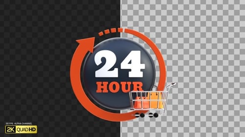 3D 24 Hours Delivery | Alpha Channel
