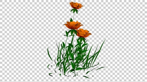 Animated Growing Grass and Orange Flowers