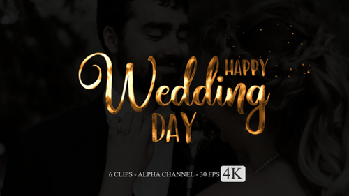 Elegant Cursive "Happy Wedding Day" Title Animation Pack