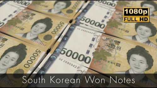South Korean Won Notes / South Korean Won Notes Loop Animation