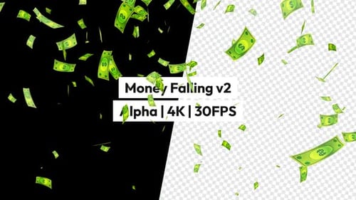 Cartoon Money Falling Alpha Channel Overlay