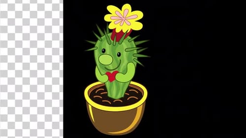 Cactus Moment Animation V2