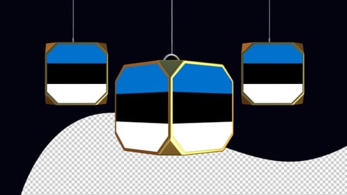Estonia Flag Geometric Ornament Spinning Seamlessly