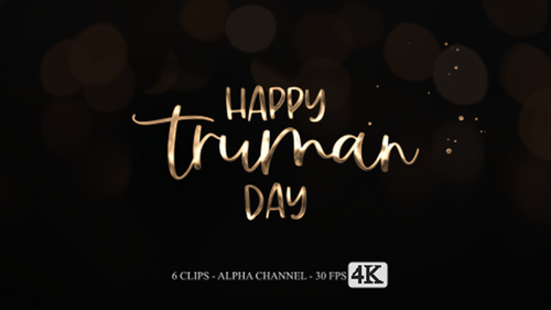 Elegant Calligraphic Text Reveal with Metallic Shine