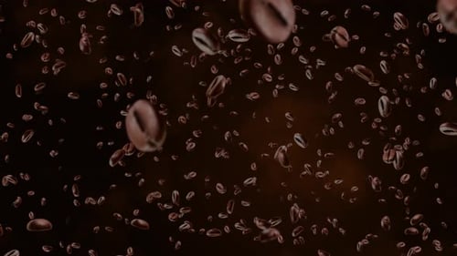Brown Coffee Beans falling in slow motion. Green Screen Loop Animation Background.