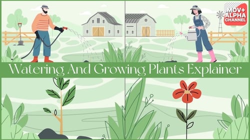 Flat Design Plant and Flower Growth Animations