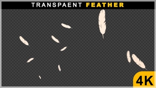 Blowing Feather From Center Video VFX Animation On Transparent Background