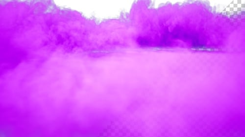 Vibrant Purple Smoke Reveal Transition with Alpha Channel