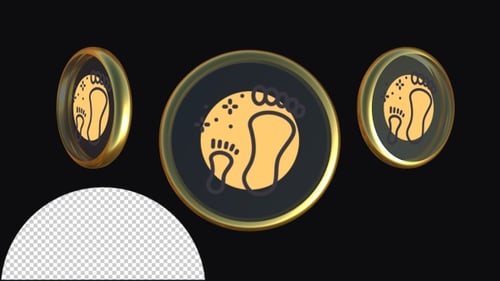Modern 3D Rotating Coin with Footprint Icon Animation