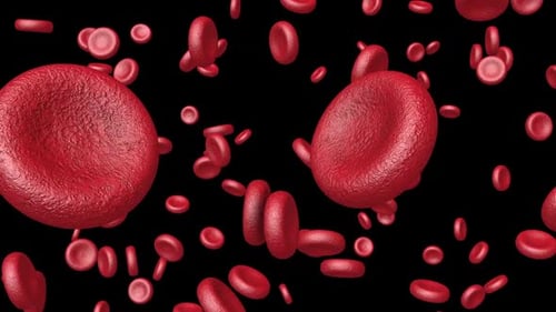 Falling Blood Cells