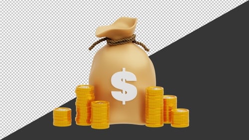 3D Closed bag of money and coins | Alpha Channel