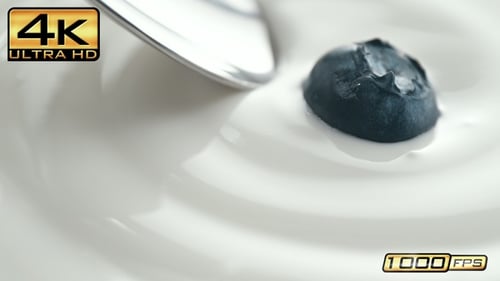 Close-up of Yogurt with Blueberry Being Spooned