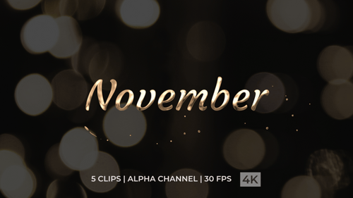 Animation textuelle de novembre