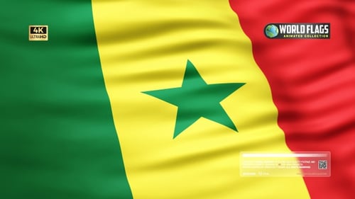 Senegal Flag Waving in Realistic Slow Motion
