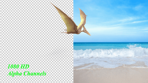 3D Animated Pterodactyl Flying Creature