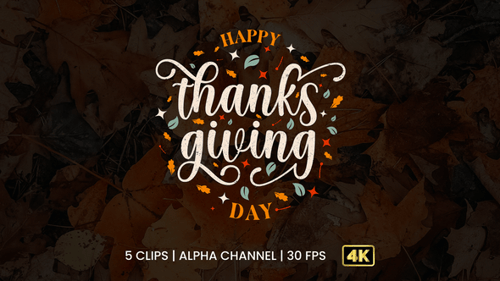 Happy Thanksgiving Day Text Animation