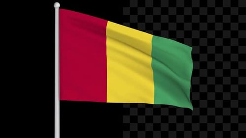 Rundtour mit Flagge Guineas