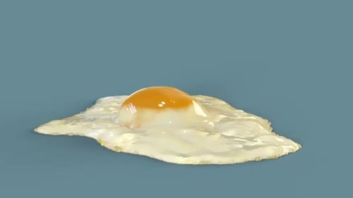 Realistic Animated Frying Egg Alpha Channel Clip