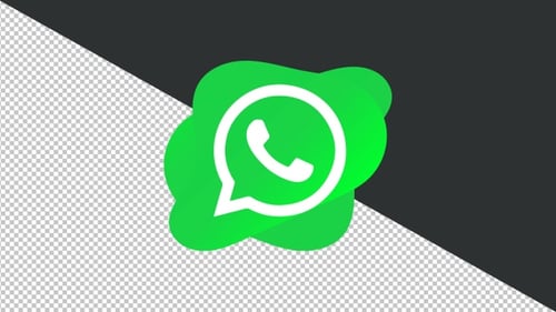 Fluid WhatsApp Logo Animation for Digital Communication