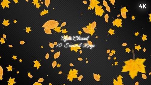 Natural Falling Autumn Leaves Seamless Loop Animation