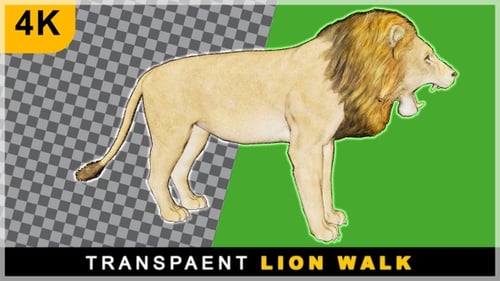 3D Cartoon Realistic Render Lion Smooth Walk On Transparent Background