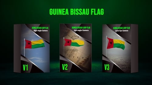 Guinea Bissau Flag Waving Loop with Multiple Camera Angles