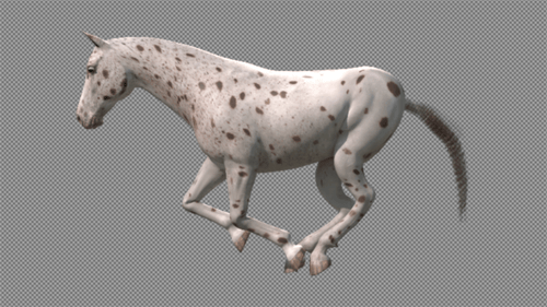 3D Animated Spotted Horse Galloping Cycle