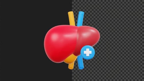 3D Animated Liver Organ with Medical Cross Icon