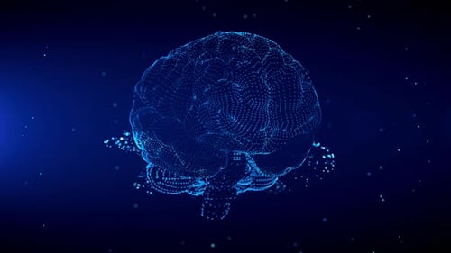 Blue Shine Human Brain Anatomy Wireframe Hologram Scanning Effects With Light Flare Glitter Particle