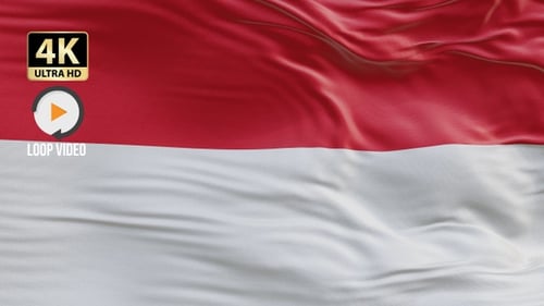 4K-Loop-Hintergrund mit Monaco-Flagge