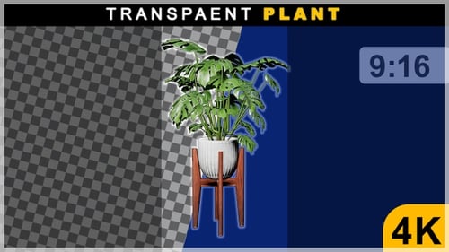 Portrait View OF Seamless 360 Rotating Loop Plant Pot On Transparent Background