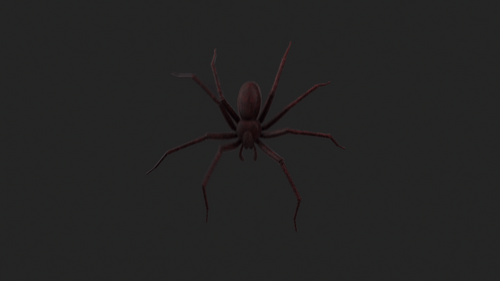 Spider Crawl Down