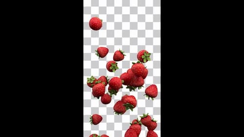 Strawberry Fountain On Alpha