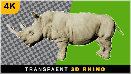 Realistic 3D White Rhinoceros Walk Cycle Animation