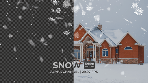 Falling Snowflakes Winter Overlay with Alpha Channel