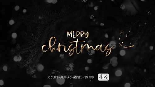 Elegant Golden Merry Christmas Title Animation