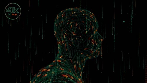 Vj Loop Digital Head 03