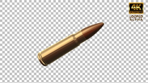 Bullet Seamless Looping 4K
