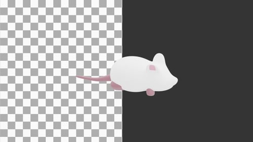 Animation 3D de Tikus Berjalan | Alpha Channel