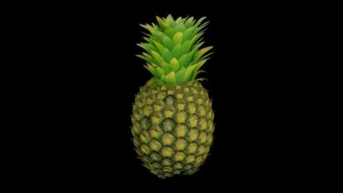 Pineapple Rotating