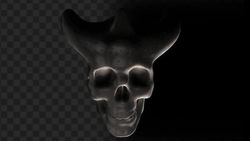 Dark 3D Skull Animation White bones 3