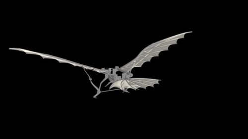 Leonardo Da Vinci`s Aircraft