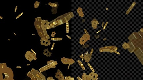 Golden Bitcoin Symbol Flying Alpha Loop V2