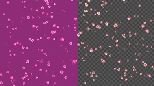 4k Pink Petals 4