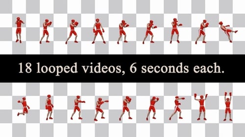 3D Boxer Character Sport Animation Pack