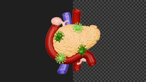 3D Pancreas Diseases Animation | 4K Resolution | Transparent Alpha Channel | 6 Seconds