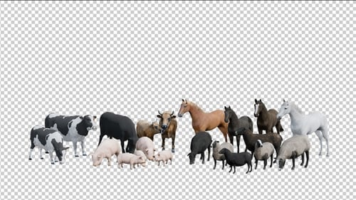 Group of Animal Farming and Its Baby on Transparent Background Alpha Channel